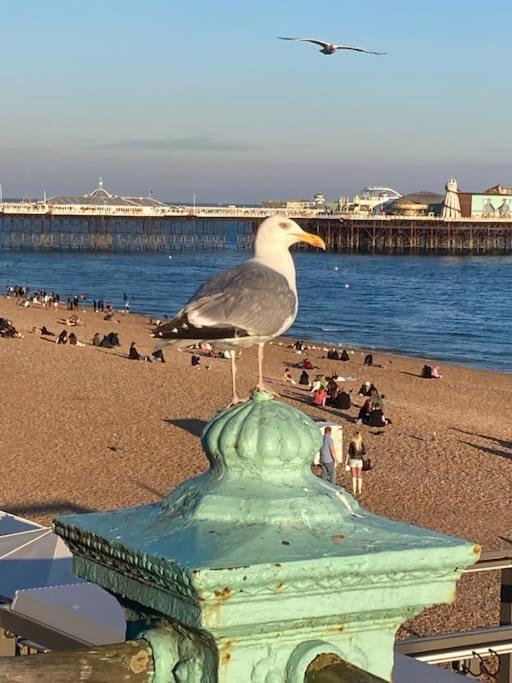 Regency Brighton Seafront Apartment Εξωτερικό φωτογραφία
